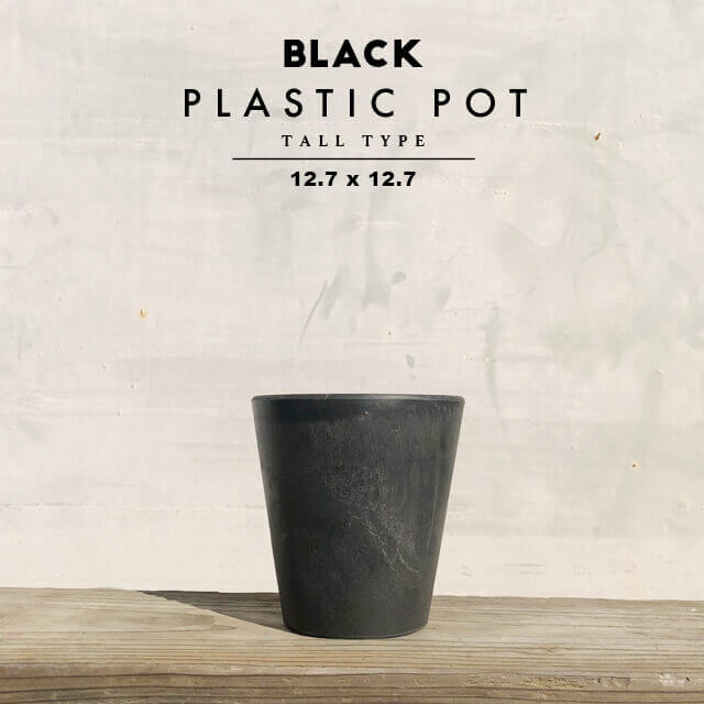 楽天市場】BLACK PLASTIC POT【STANDARD TYPE】10cm×8cm 黒 プラ鉢 3号