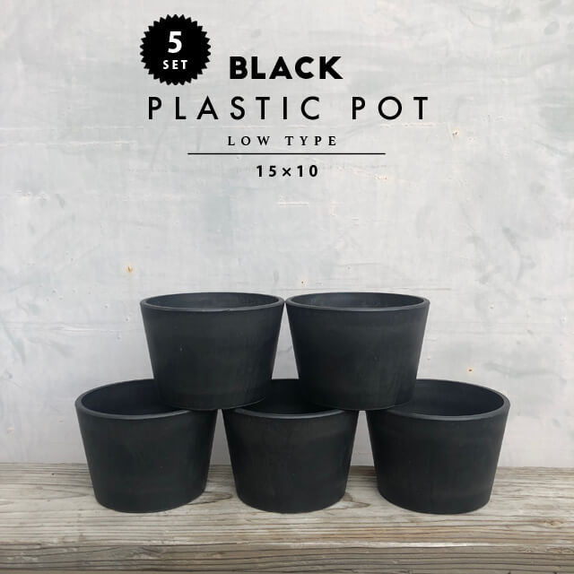 楽天市場 5個set Black Plastic Pot Low Type 15cm 10cm 5号 黒 プラ鉢 植木鉢 ブラックポット Shallow