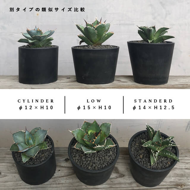 Black Plastic Pot Low Type 15cm 10cm プラ鉢 植木鉢 売り切り御免 黒 5号 ブラックポット Black Plastic Pot Low Type 15cm 10cm プラ鉢 植木鉢 売り切り御免 黒 5号 ブラックポット