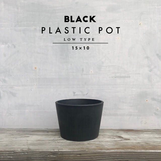 楽天市場】BLACK PLASTIC POT【BOWL TYPE】15cm×11cm 黒 プラ鉢 5号 樹脂 植木鉢 ブラックポット : SHALLOW