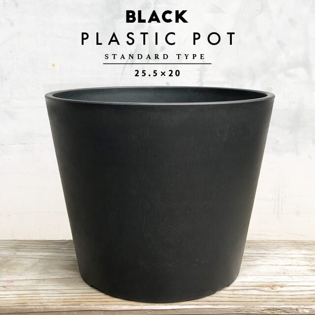 楽天市場】黒 プラ鉢 セラアート 長鉢 21cm×23cm 7号 ブラックポット Plastic Pot 塊根 多肉 シンプル おしゃれ 軽い 薄い プラスチック  植木鉢 インダストリアル 西海岸 コーデックス caudex インナーポット : SHALLOW