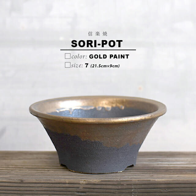 楽天市場】KAMIYAMA -SORI- POT【ソリ 金彩 6号 -S-】18cm×8cm かみ山