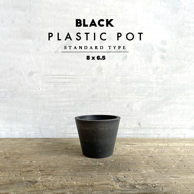 楽天市場】BLACK PLASTIC POT【STANDARD TYPE】12cm×10cm 黒 プラ鉢 4号 植木鉢 ブラックポット :  SHALLOW