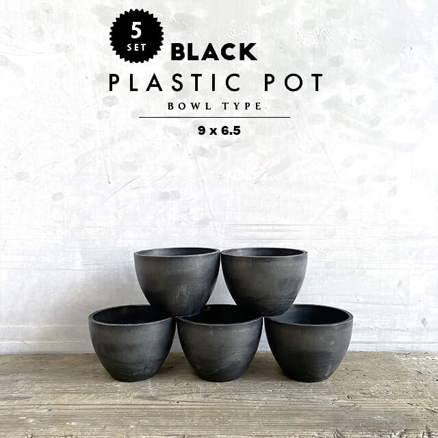 楽天市場】【5個SET】セラアート 平鉢 15cm×7.5cm プラ鉢 まとめ買い 15号 黒 ブラックポット Plastic Pot 塊根 多肉  シンプル おしゃれ 軽い プラスチック 植木鉢 インダストリアル 西海岸 コーデックス caudex インナーポット コンパクト 小さい 盆栽 低い  ロー : SHALLOW