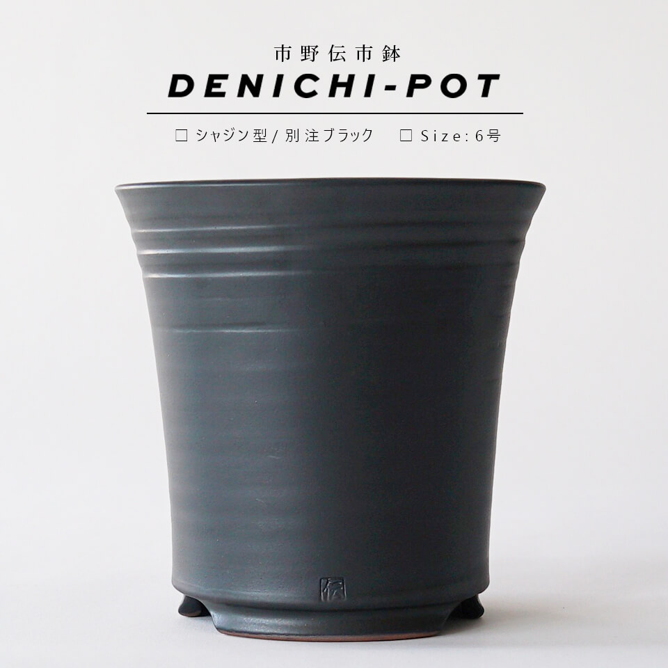 伝市鉢　2個セット　筒鉢 楽天市場】伝市鉢 シャジン型【ブラック】5号 φ15.5×H16cm