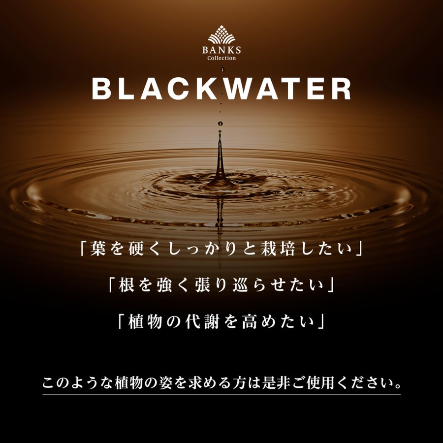 市場 BLACKWATER 200ml ブラックウォーター バンクスコレクション 活力剤 多肉