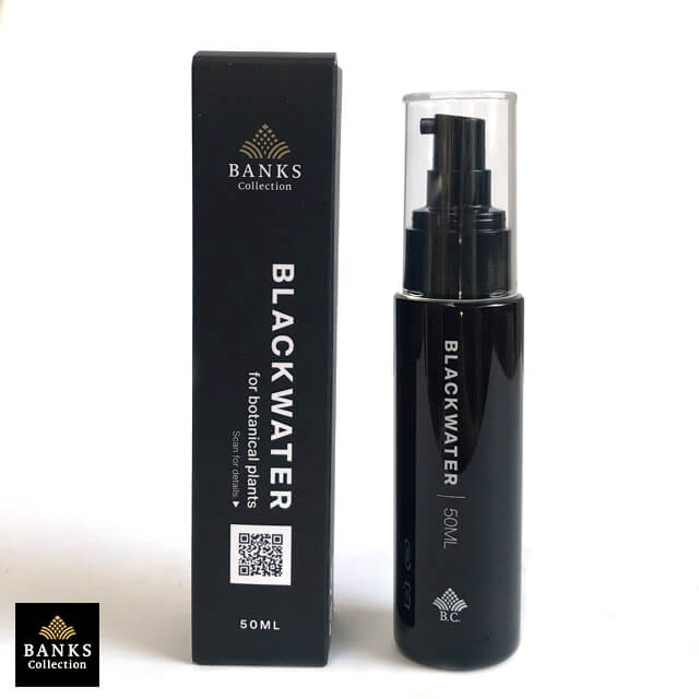 BLACKWATERリフィル500ml x 2袋 BLACKWATERリフィル500ml x 2袋