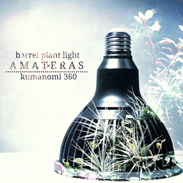 ◇アマテラス LED20W / 植物育成ライト チランジア ビカクシダ