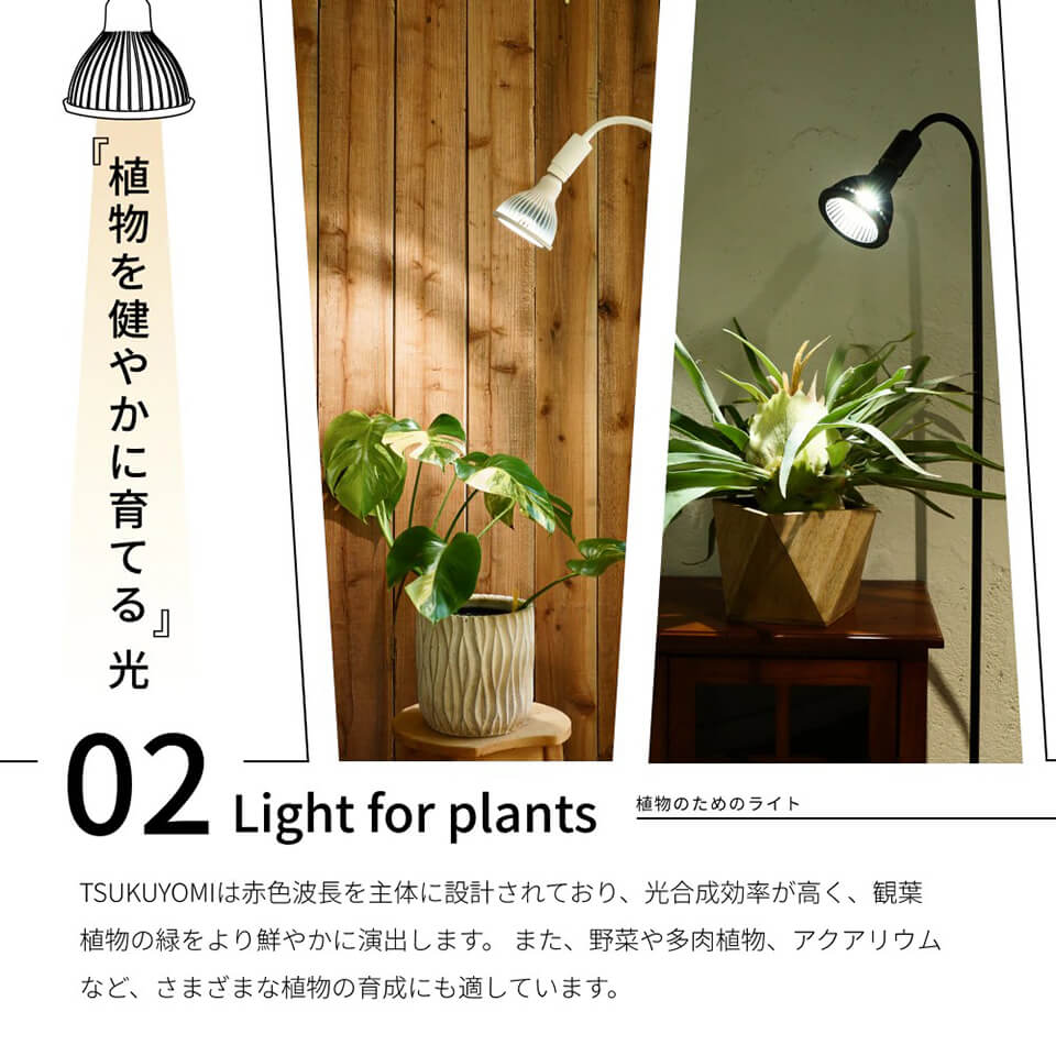 ネオ ツクヨミ【LED 20W】植物育成ライト BARREL 水槽用照明