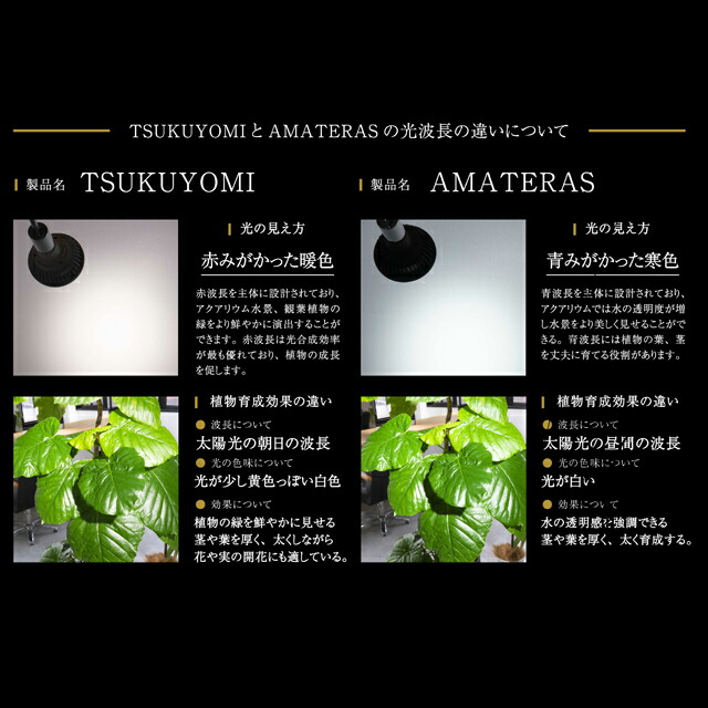ツクヨミ Led w 植物育成ライト Barrel 水槽用照明 アクアリウム 着生植物 水草 水上化 多肉 塊根 室内管理 太陽光 日照 ビカクシダ ハンギング 壁掛け植物 インテリアグリーン 熱帯魚 おしゃれ アマテラス