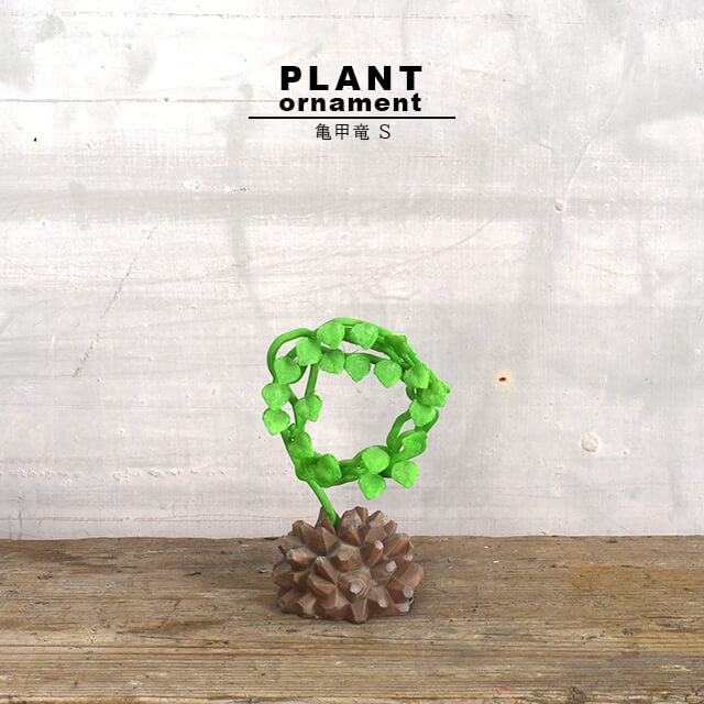 亀甲竜　710 亀甲竜 710