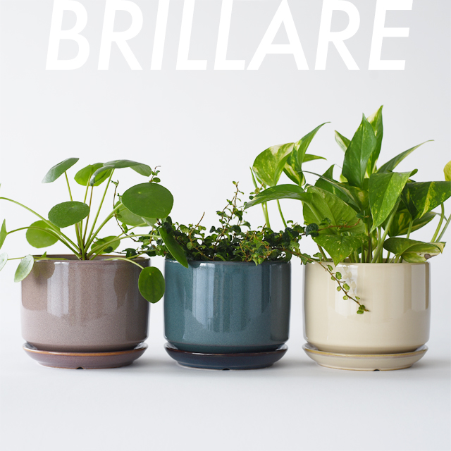 楽天市場】BRILLARE【 S 】11cm×8cm 植木鉢 受皿付 3号 シンプル 陶器