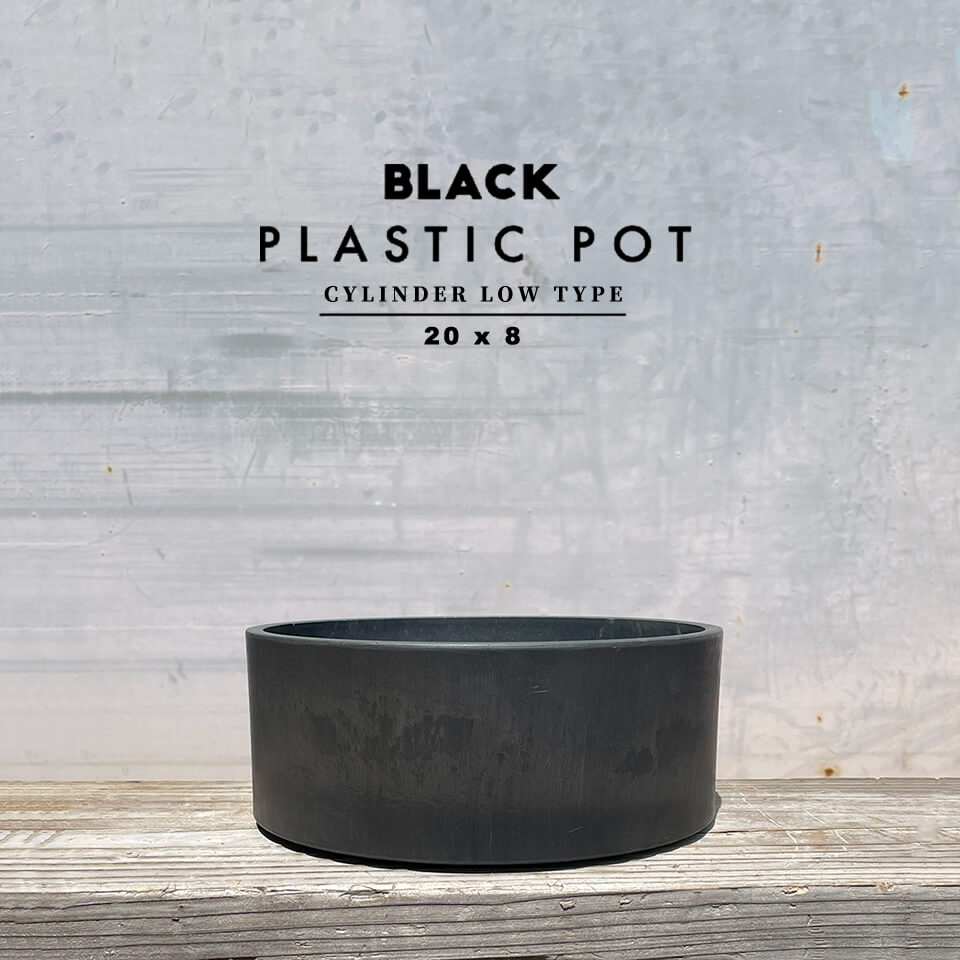楽天市場】BLACK PLASTIC POT【CYLINDER LOW TYPE】14cm×8cm 黒 プラ鉢 