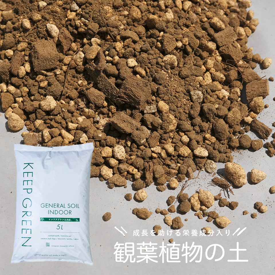 未開封 BEST SOIL MIX (レギュラー粒) 3L×6袋セット bankscollection_s-00002