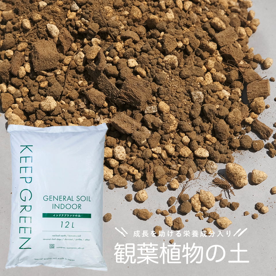楽天市場】KEEP GREEN／GENERAL SOIL【 5L 】インドアプランツの土