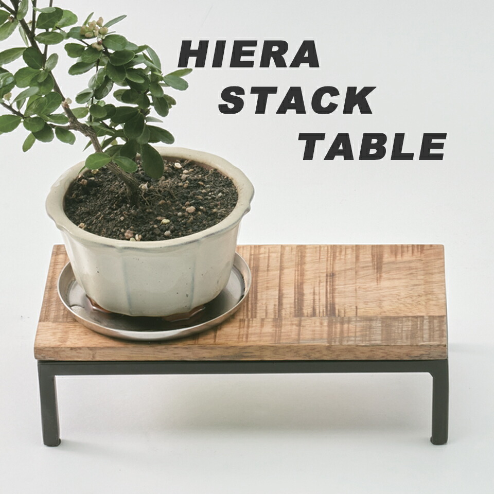 オブジェ サボテン ウエスタン アガベ 男前インテリア パキプス 塊根 テーブル fyr-stacktable-l15.jpg