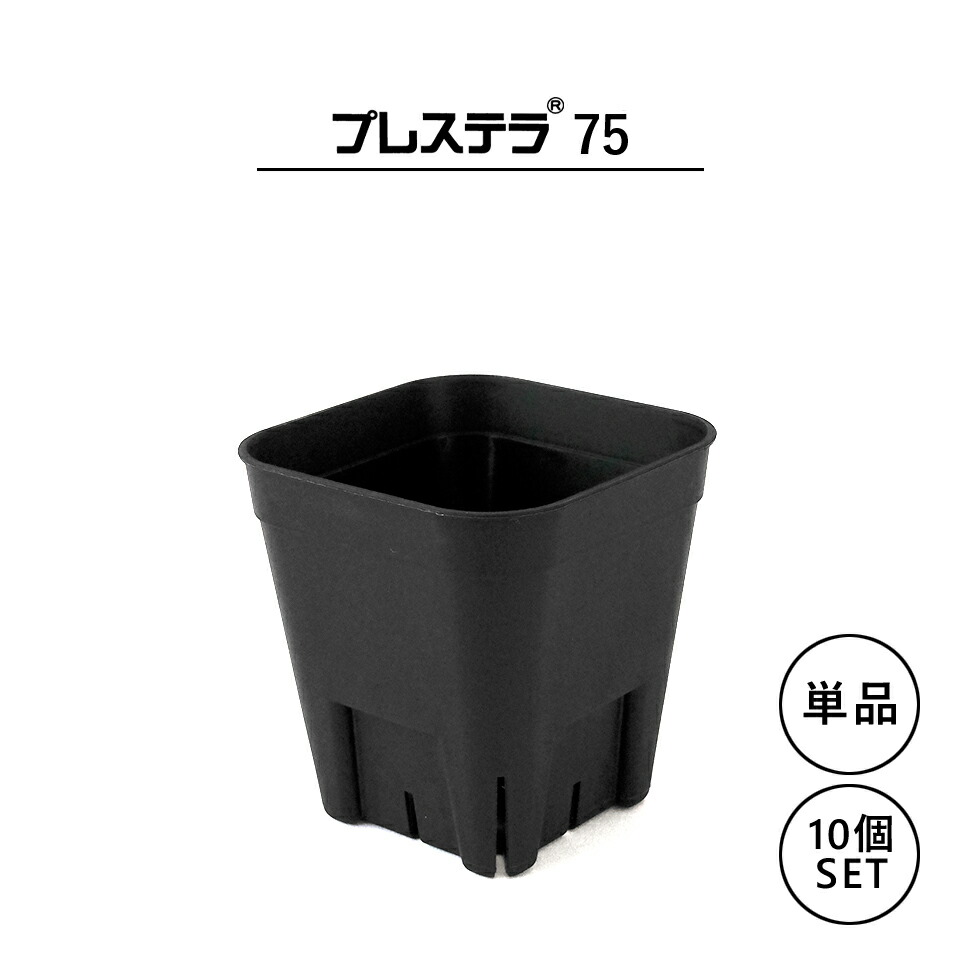 presstera_75_top.jpg presstera_75_top.jpg