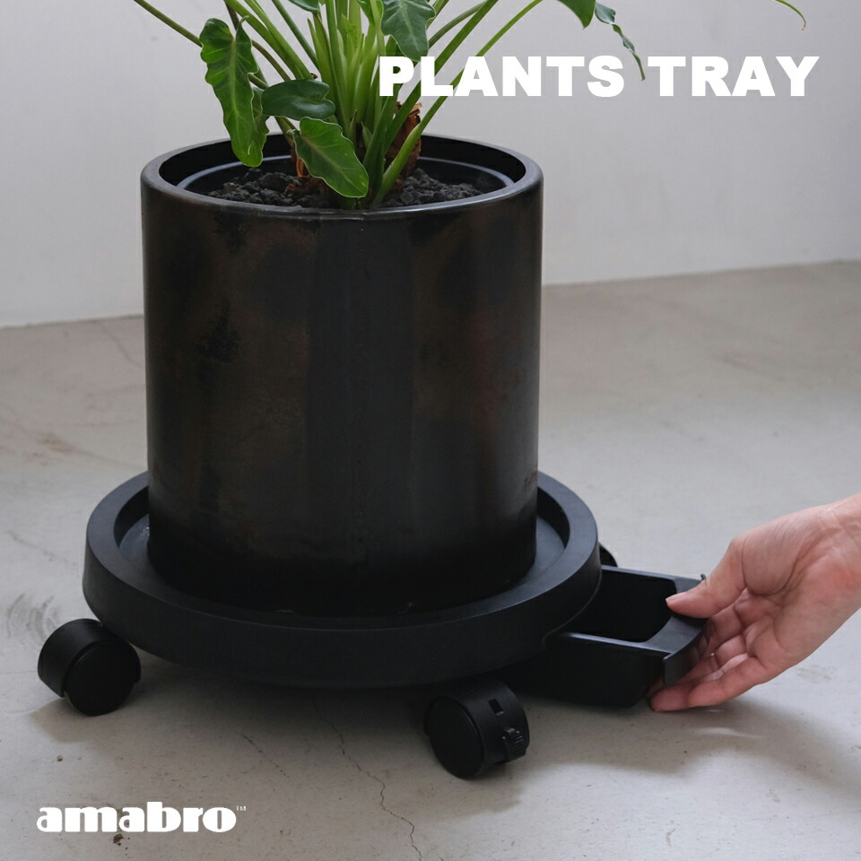 楽天市場】amabro／PLANTS TRAY水受け皿付きプランツトレーキャスター