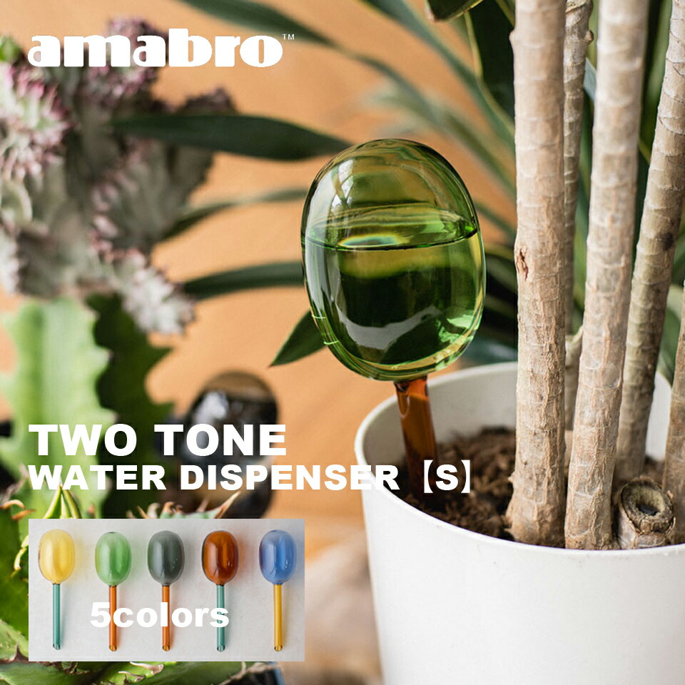 楽天市場】TWO TONE VASE/amabro 自由研究 発根管理 球根 楽天市場】TWO TONE VASE/amabro 自由研究 発根管理 球根