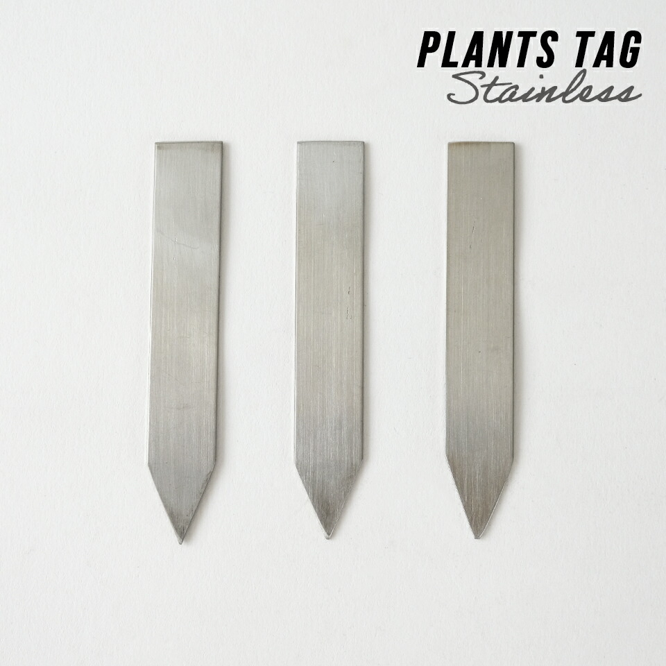 【2月後半納品】バラブランカページ imgrc0092927591.jpg