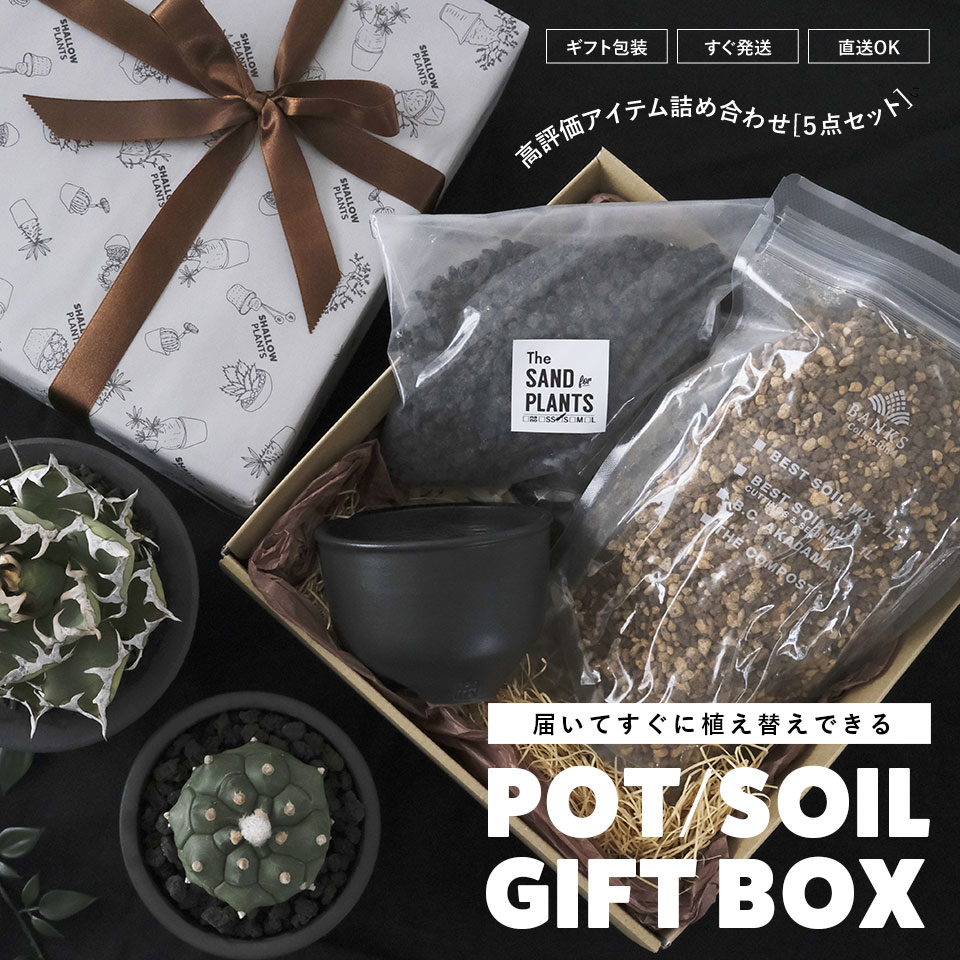 楽天市場】届いてすぐに植え替えできるGIFTBOX【5点SET】植木鉢(3号程