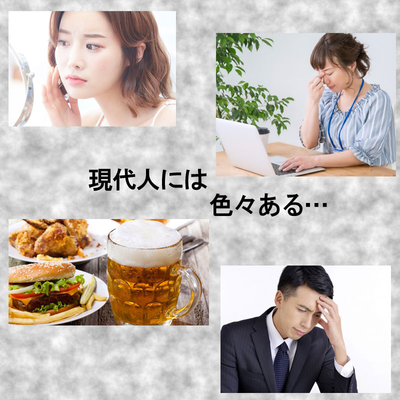 12ヶ月分 ブラックゴジベリーサプリメント 黒枸杞 黒クコ クコの実 サプリ スマホ パソコン 目 眼 疲れ アントシアニン 女性 紫外線 ビタミン Kanal9tv Com