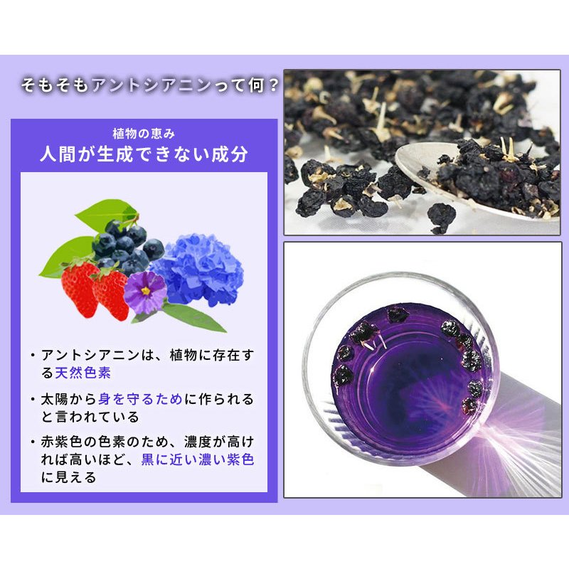 楽天市場 着後レビューで選べる特典 ブラックゴジベリーサプリメント 1ヶ月分 62粒 スマホ パソコン 目 眼 疲れ アントシアニン 女性 紫外線 ビタミン Shamrock