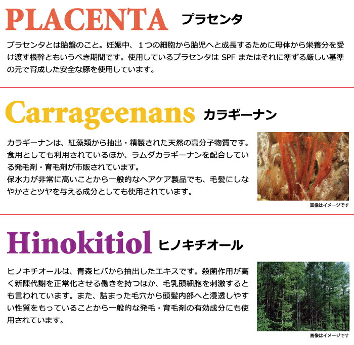 楽天市場 育毛剤 ナチュラルバイオ研究所 エヌビーゼロワン 150ml 3か月分 頭皮に塗るプラセンタ 正規品 シャンプー屋