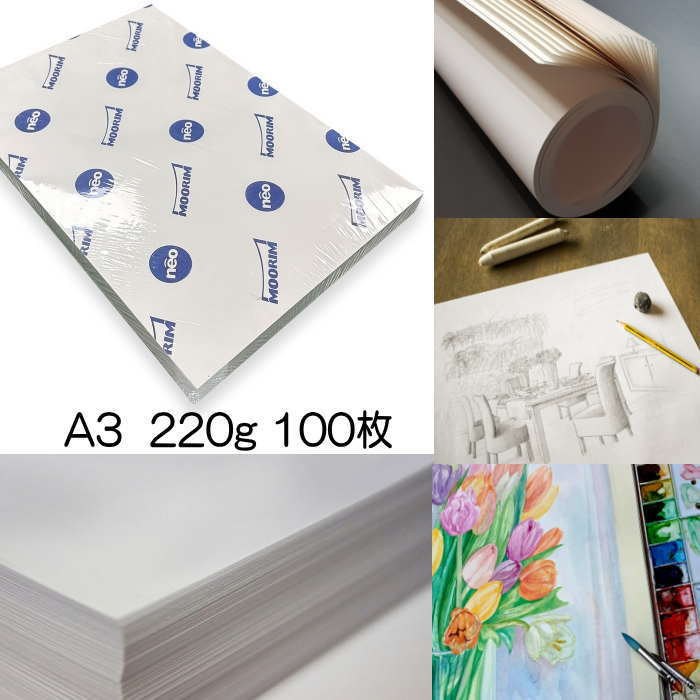 ケント紙 A3 100枚 220g 紙 スケッチ アート 絵画 デッサン 画材 描画 画用紙