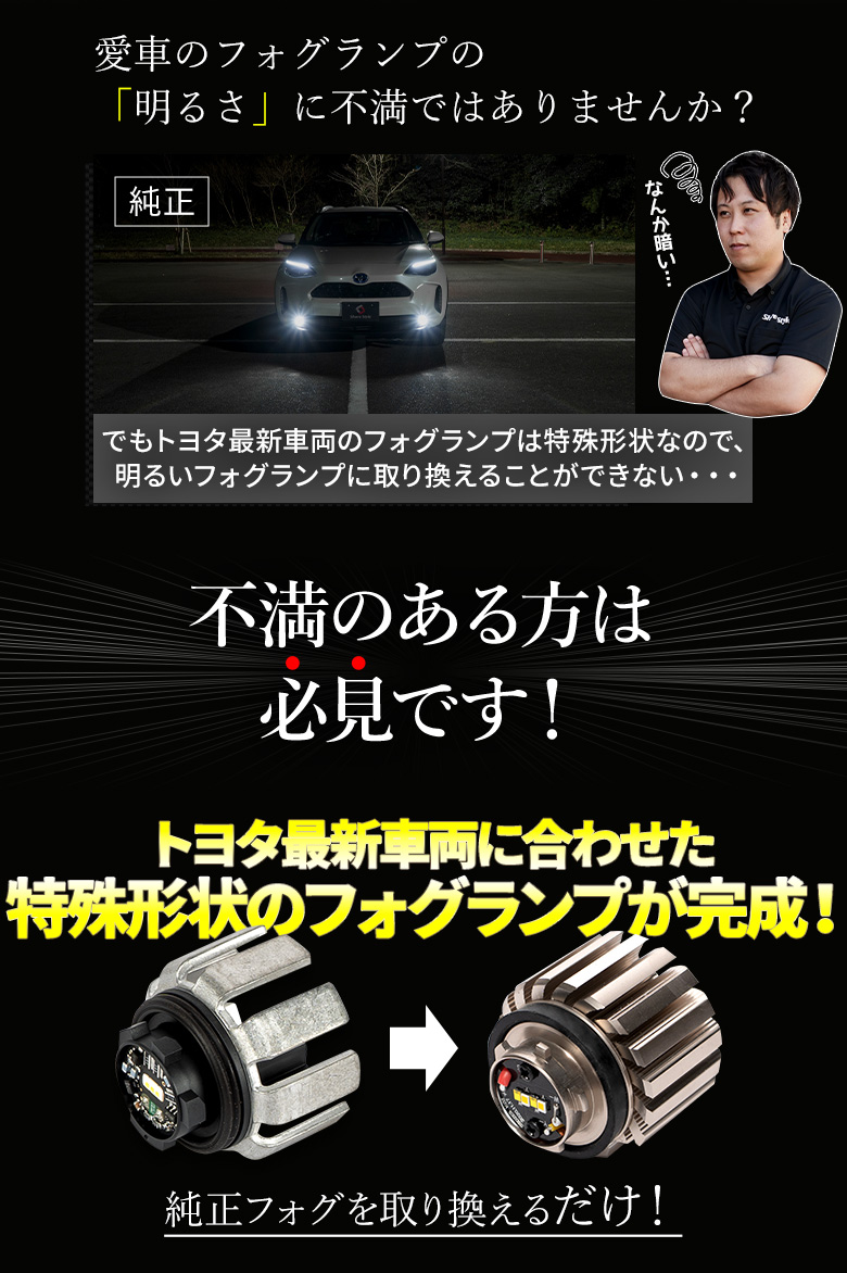 RAV4 LED仕様車 専用 マイクロフォグ LED フォグランプ ホワイト