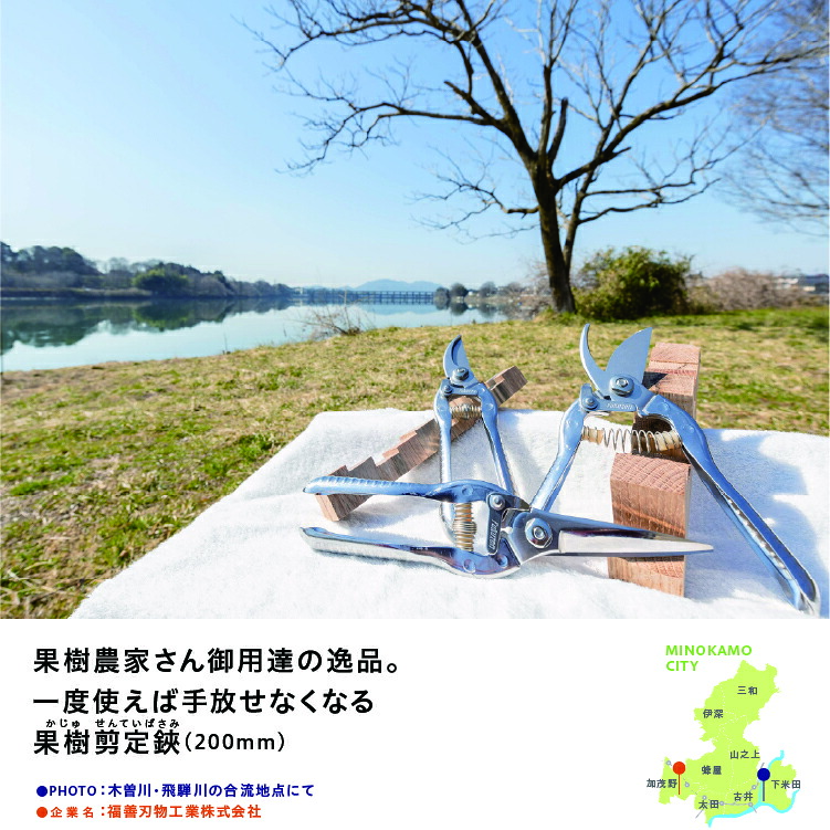 【レビュー特典あり】 果樹剪定鋏 はさみ ステンレス 日本製 女性にも 切りやすい 切り花 剪定ばさみ 剪定はさみ 枝切ばさみ 花はさみ 生花 生け花 ガーデニング 園芸 プロ仕様 束ね切り 片手で使える 福善刃物工業 送料無料 39ショップ