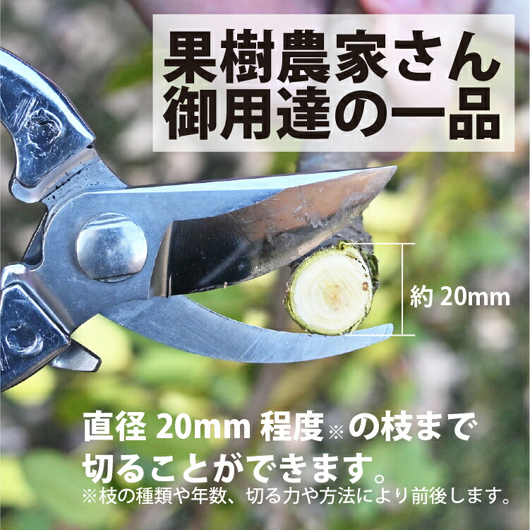 【レビュー特典あり】 果樹剪定鋏 はさみ ステンレス 日本製 女性にも 切りやすい 切り花 剪定ばさみ 剪定はさみ 枝切ばさみ 花はさみ 生花 生け花 ガーデニング 園芸 プロ仕様 束ね切り 片手で使える 福善刃物工業 送料無料 39ショップ