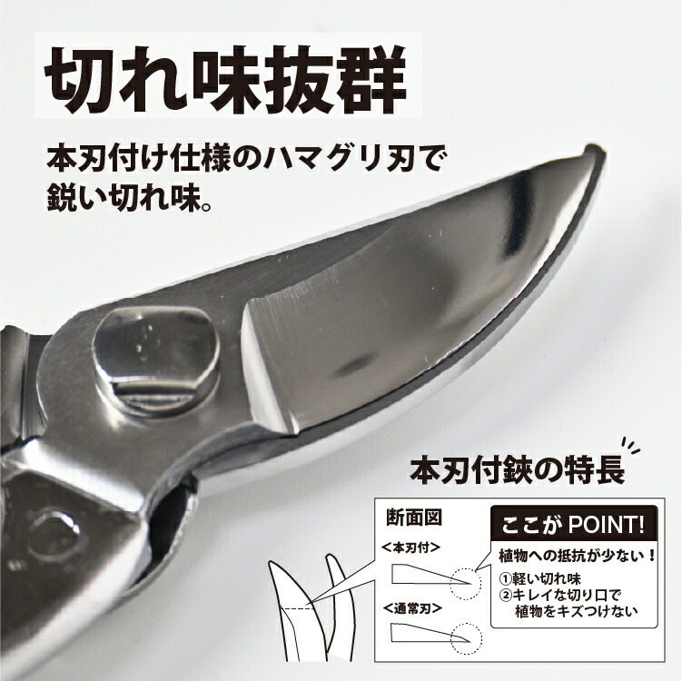 【レビュー特典あり】 果樹剪定鋏 はさみ ステンレス 日本製 女性にも 切りやすい 切り花 剪定ばさみ 剪定はさみ 枝切ばさみ 花はさみ 生花 生け花 ガーデニング 園芸 プロ仕様 束ね切り 片手で使える 福善刃物工業 送料無料 39ショップ
