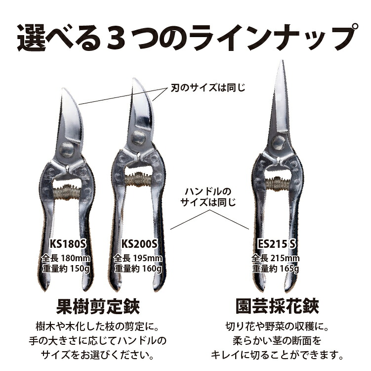 【レビュー特典あり】 果樹剪定鋏 はさみ ステンレス 日本製 女性にも 切りやすい 切り花 剪定ばさみ 剪定はさみ 枝切ばさみ 花はさみ 生花 生け花 ガーデニング 園芸 プロ仕様 束ね切り 片手で使える 福善刃物工業 送料無料 39ショップ