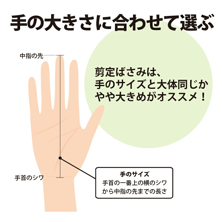 【レビュー特典あり】 果樹剪定鋏 はさみ ステンレス 日本製 女性にも 切りやすい 切り花 剪定ばさみ 剪定はさみ 枝切ばさみ 花はさみ 生花 生け花 ガーデニング 園芸 プロ仕様 束ね切り 片手で使える 福善刃物工業 送料無料 39ショップ