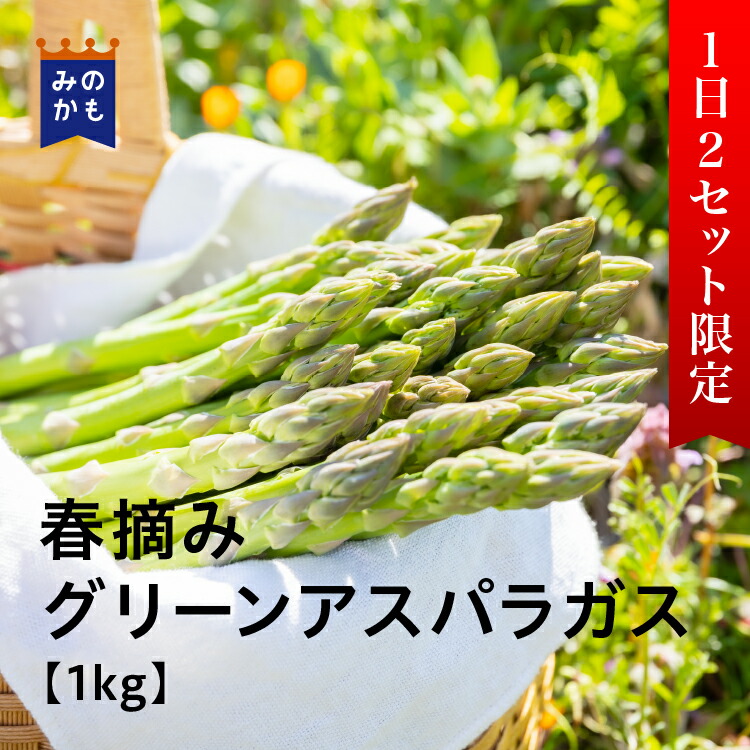 農家直送 春摘みグリーンアスパラガス 1kg 期間限定 春の味覚 旬 グリーンアスパラ アスパラガス アスパラ 近所の野菜作り名人が 保存方法は少し湿ら Bankingprep Com