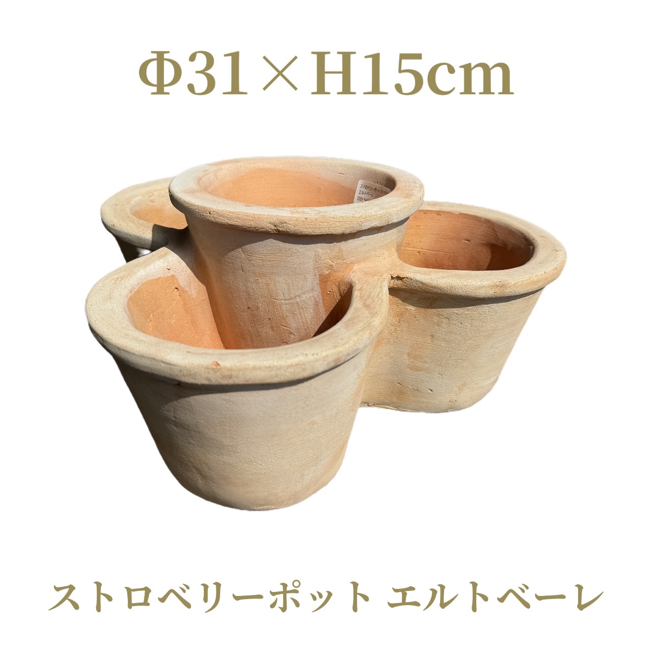 楽天市場】デローマ ポットフィート 4cm×6個セット : シャルカ