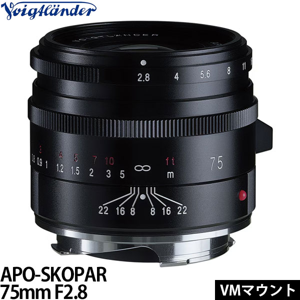 《5月発売予定》 コシナ フォクトレンダー APO-SKOPAR 75mm F2.8 VMマウント用 ブラック 【送料無料】【予約】 48,392円