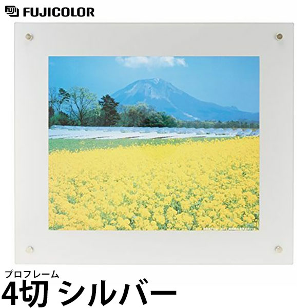 フジカラー プロフレーム 4切 シルバー 【送料無料】