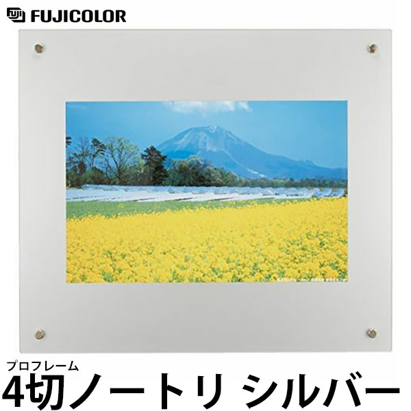 フジカラー プロフレーム 4切ノートリ シルバー 【送料無料】