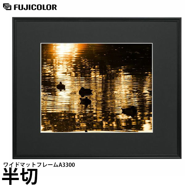 楽天市場】フォトフレーム サイズ 半切 A300 フジカラー 写真用 額縁