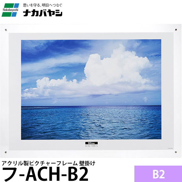 ナカバヤシ フ-ACH-B2 アクリル製ピクチャーフレーム B2 壁掛け 【送料無料】|写真屋さんドットコム