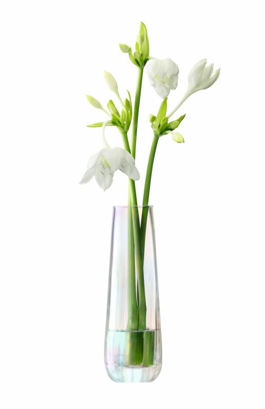 LSA 御花軍事基地・花器 Mother of Pearl