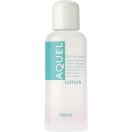 楽天市場】☆2025/7/1より価格が改訂されました☆ホワイトリリー[White