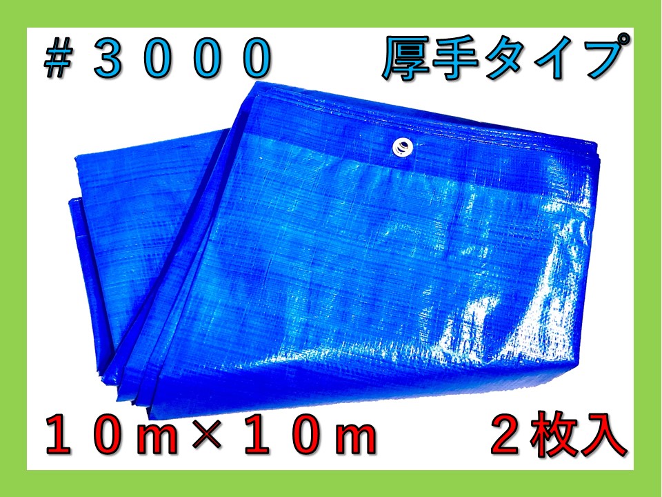 ブルーシート＃3000 10ｍ×10ｍ（1枚入）厚手 タイプ ハトメ付き 建築