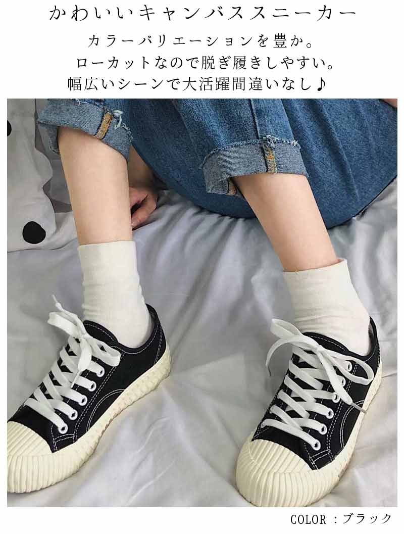 最大15 クーポン キャンバススニーカー 帆布 定番スニーカー 大人 スニーカー 女性 レディース
