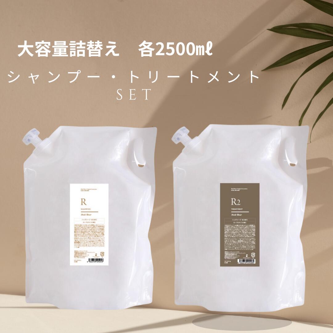 美容室一人占め品 シャンプー＋手当て しっとり 大静電容量仕掛ける 貨物輸送無料 ShellBear銀座店 各2500ml/g ノンケイ素樹脂 弱酸性 アミノ酸100% 髪質立ちなおる 保湿