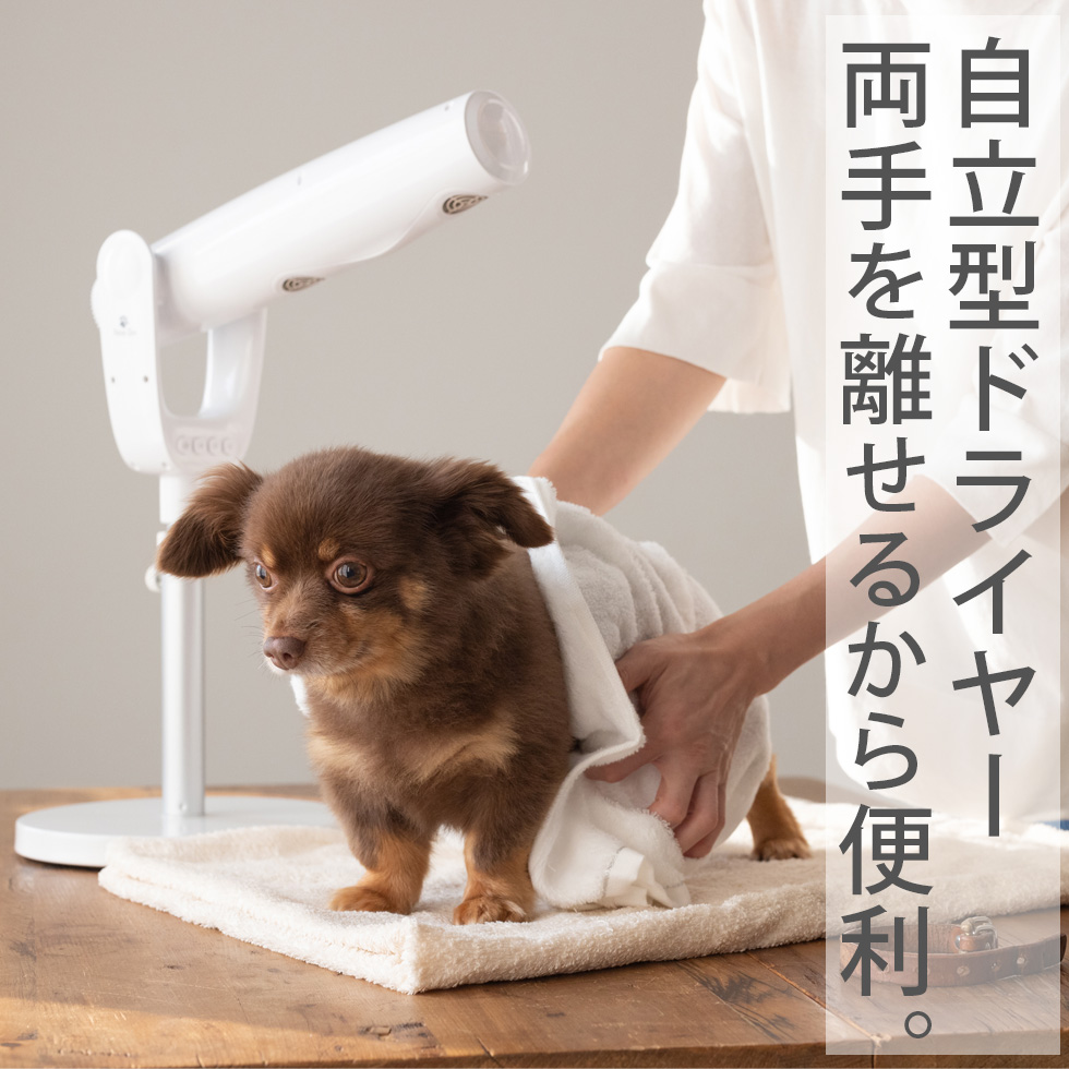 ペット用ドライヤー ペットドライヤー 家庭用 犬用 猫用 ペティオン
