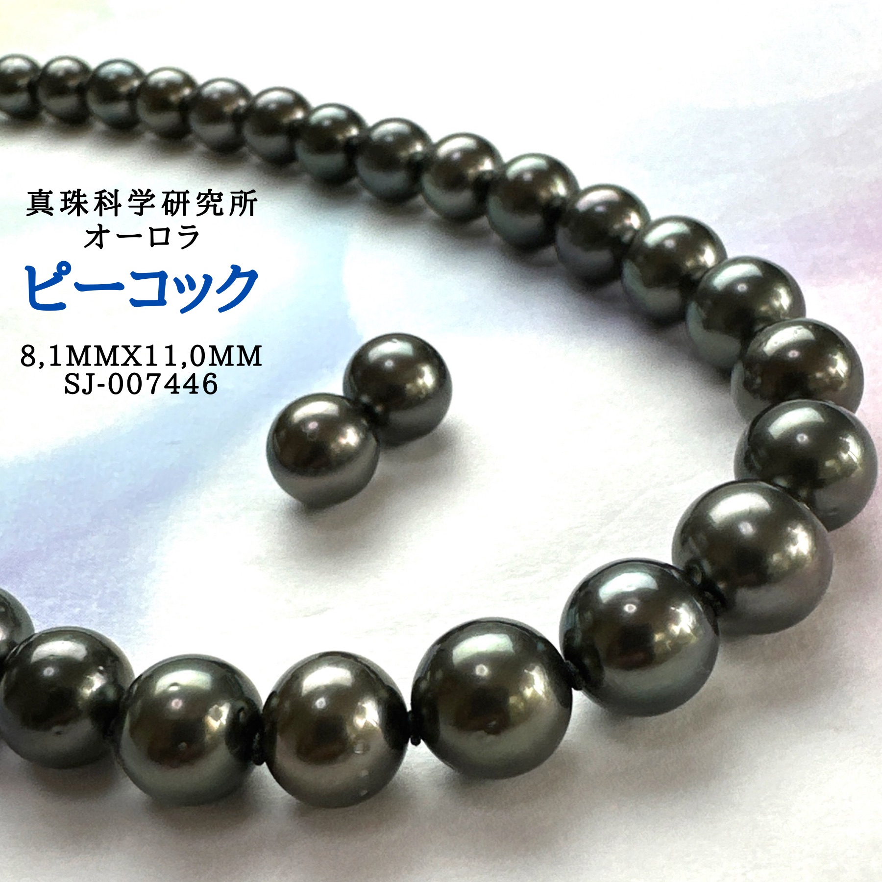極美品 特大 大珠 黒真珠 ネックレス 真珠 本真珠 パール ブラックピーコック 黒真珠 ネックレス ・ピーコック系カラー/黒蝶貝パール9.0ミリ