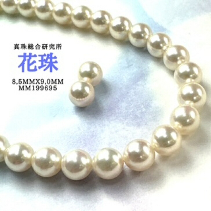 楽天市場】真珠科学研究所【鑑別書付】花珠真珠 ネックレス 7.5mm〜8.0